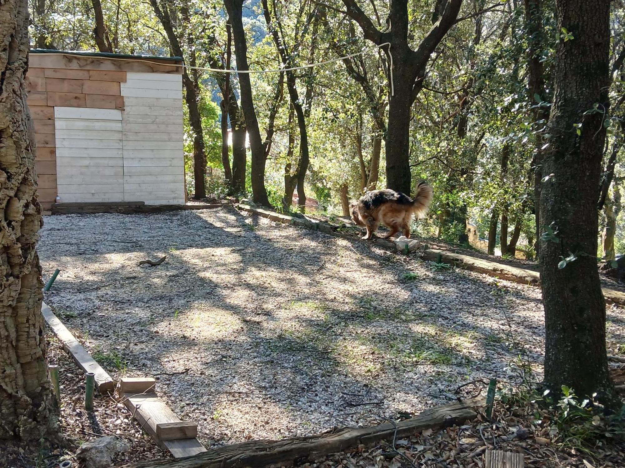 La Bergerie Vila Sorède Exterior foto