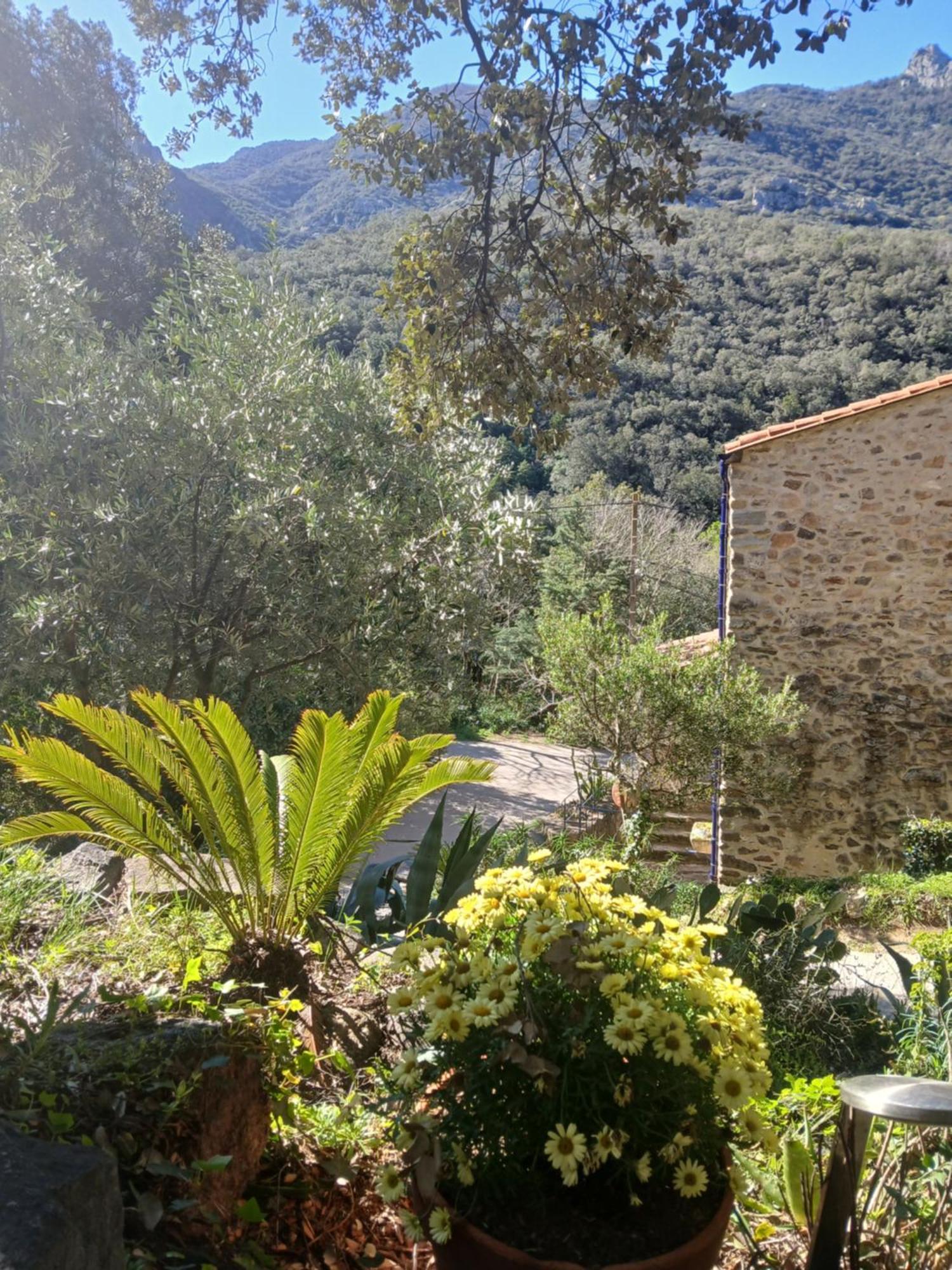 La Bergerie Vila Sorède Exterior foto