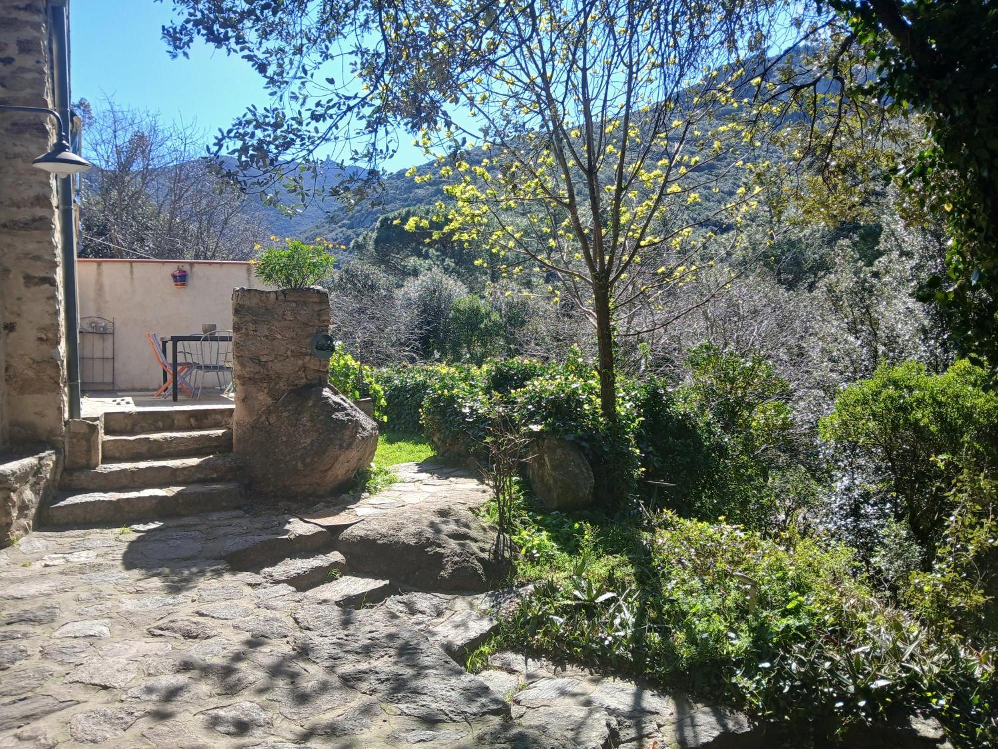 La Bergerie Vila Sorède Exterior foto